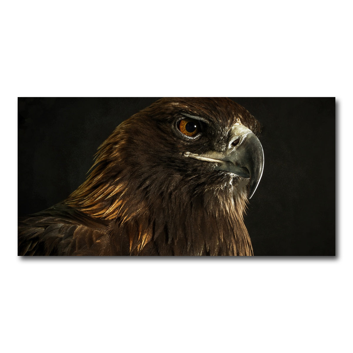 AUTO-MOCKUP WHITE | Golden Eagle | 1 Piece | Gallery Wrap Canvas | group=2x1
