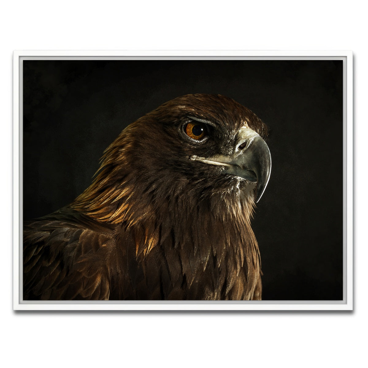 AUTO-MOCKUP WHITE | Golden Eagle | 1 Piece | White Framed Canvas | group=4x3