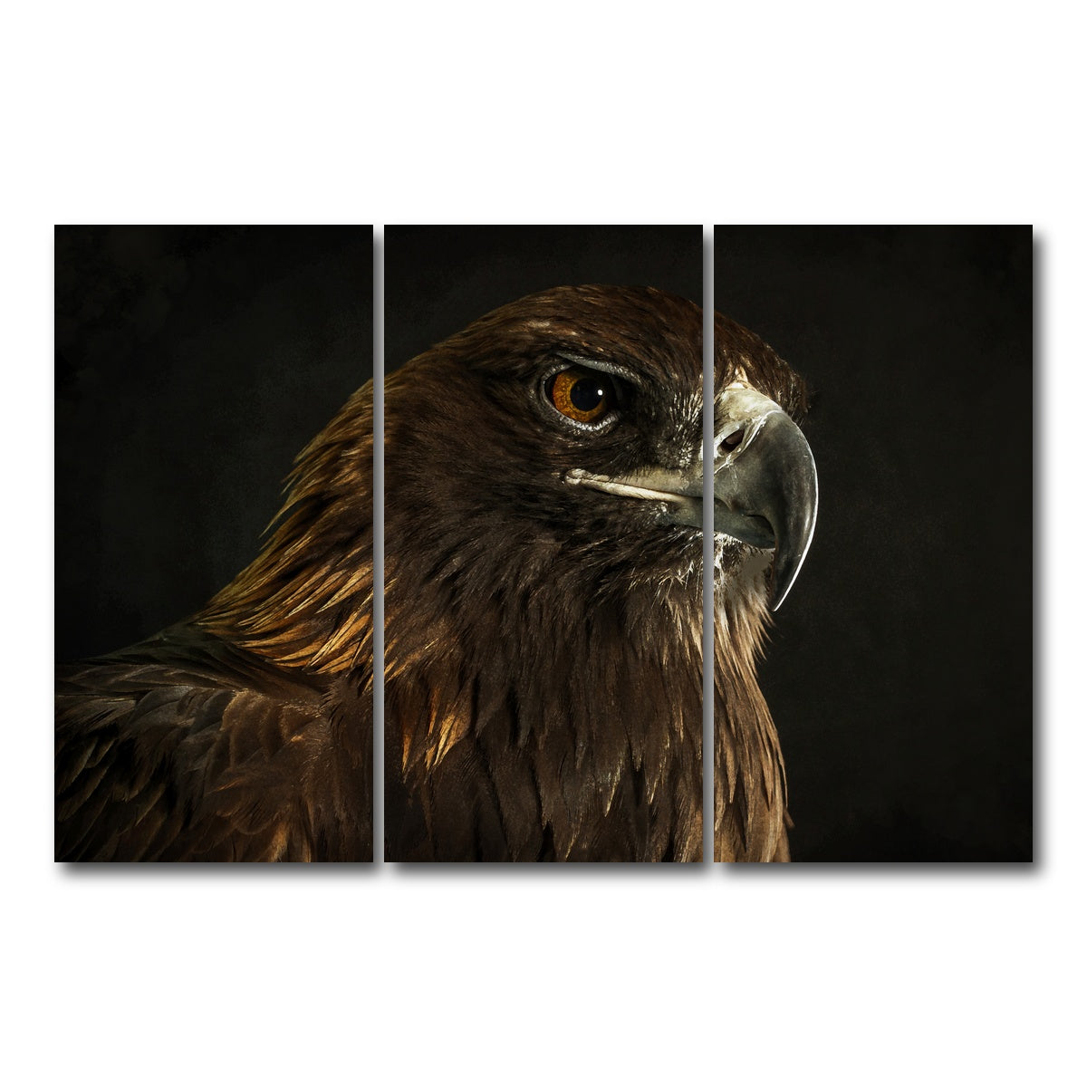 AUTO-MOCKUP WHITE | Golden Eagle | 3 Piece | Gallery Wrap Canvas | group=12x24
