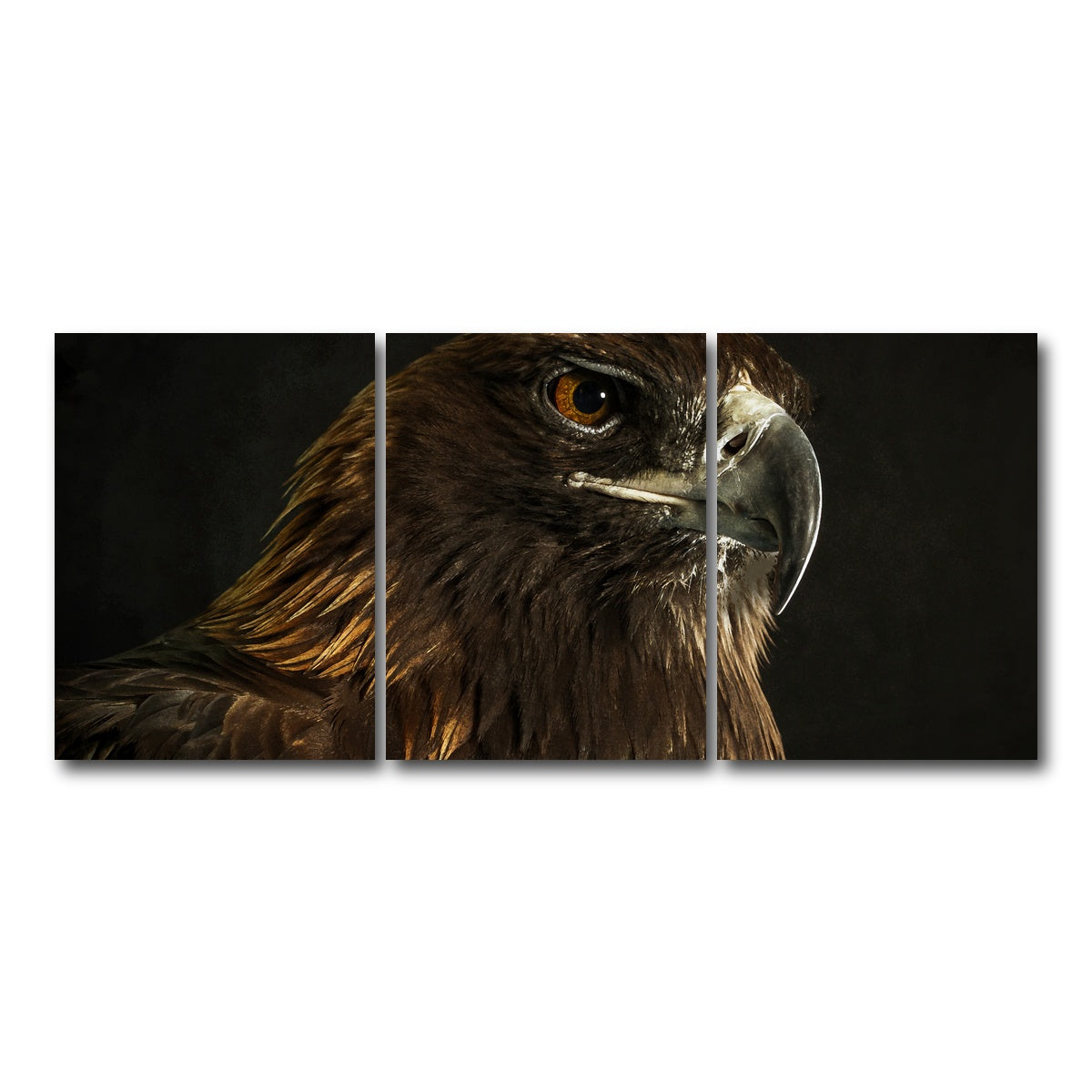 AUTO-MOCKUP WHITE | Golden Eagle | 3 Piece | Gallery Wrap Canvas | group=18x24