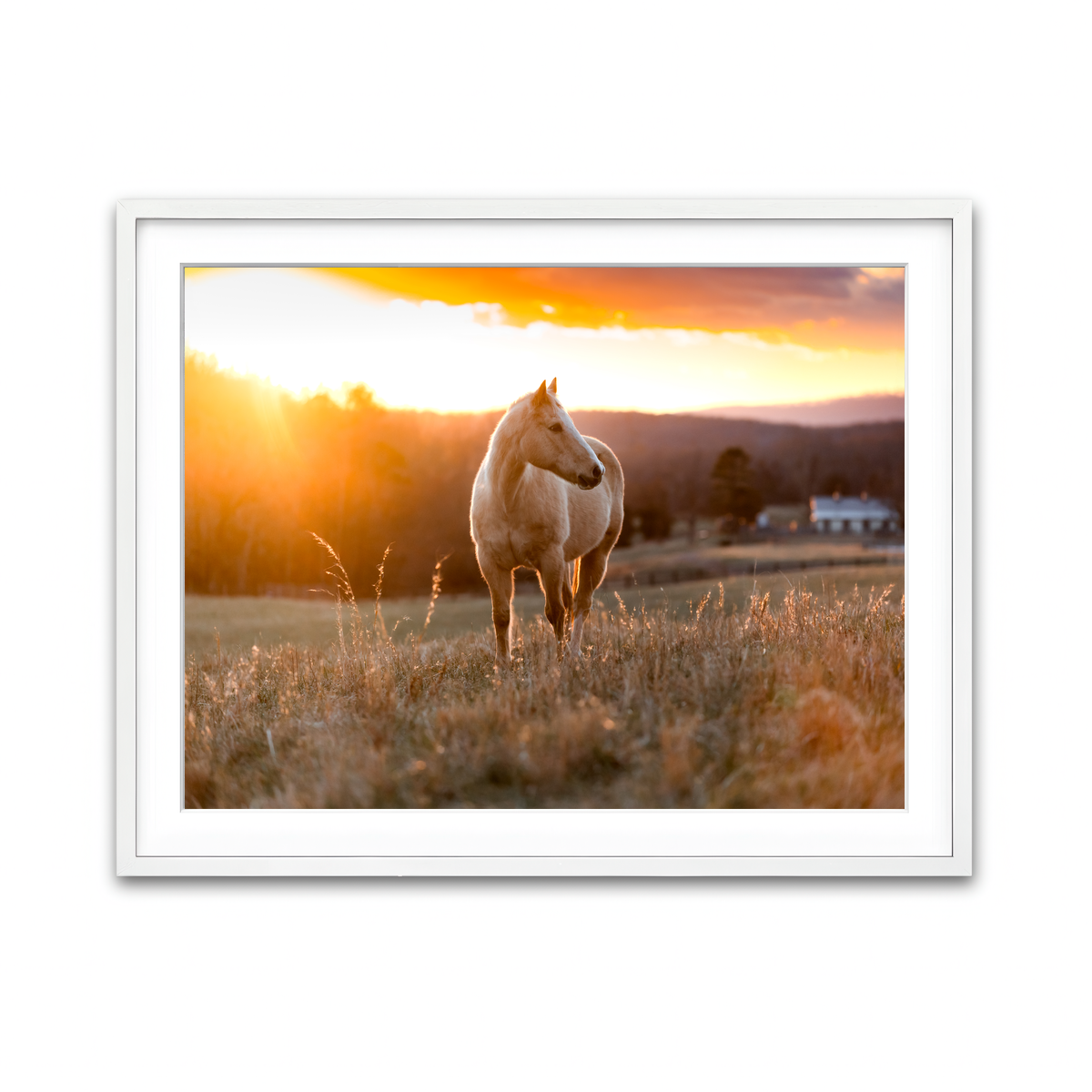 Framed Print 4x3 White