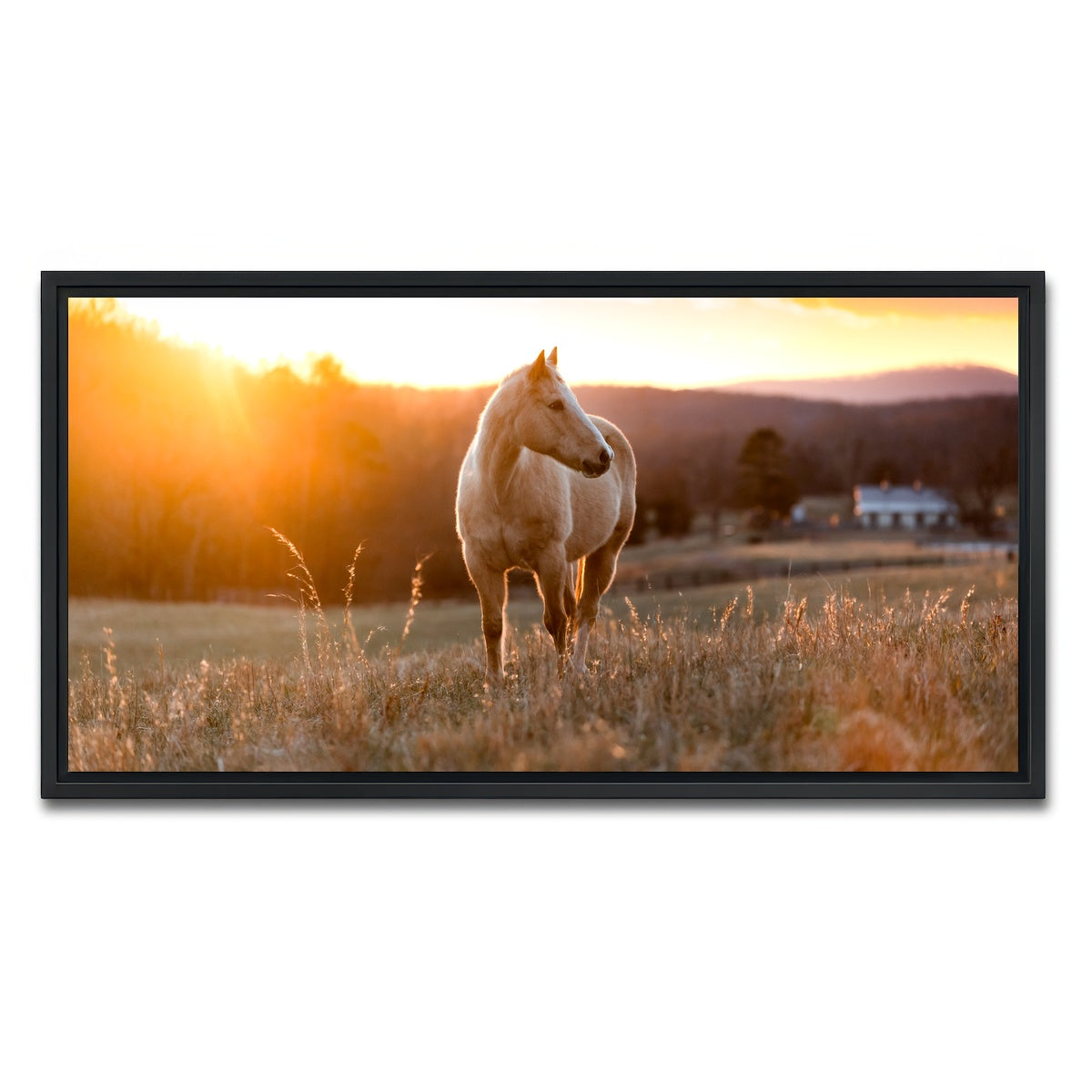 AUTO-MOCKUP WHITE | Golden Horse | 1 Piece | Black Framed Canvas | group=2x1
