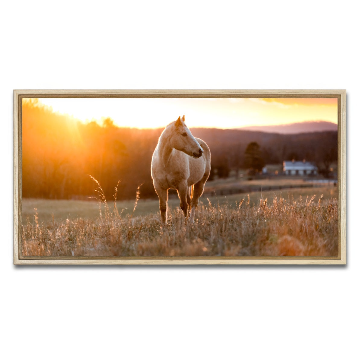 AUTO-MOCKUP WHITE | Golden Horse | 1 Piece | Natural Framed Canvas | group=2x1