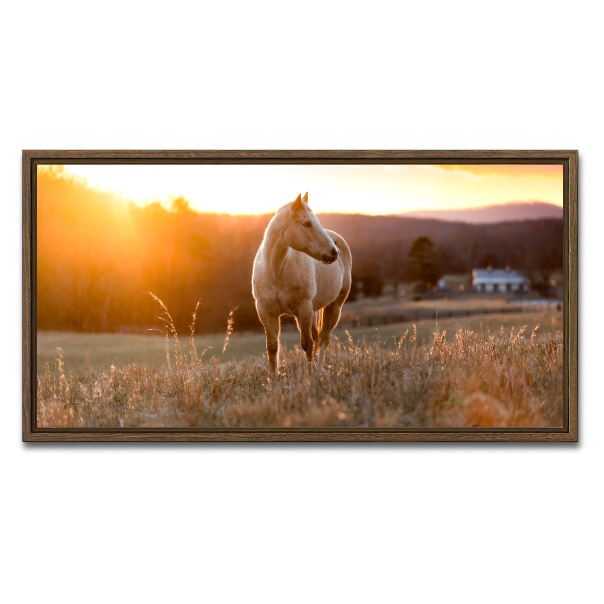 AUTO-MOCKUP WHITE | Golden Horse | 1 Piece | Walnut Framed Canvas | group=2x1