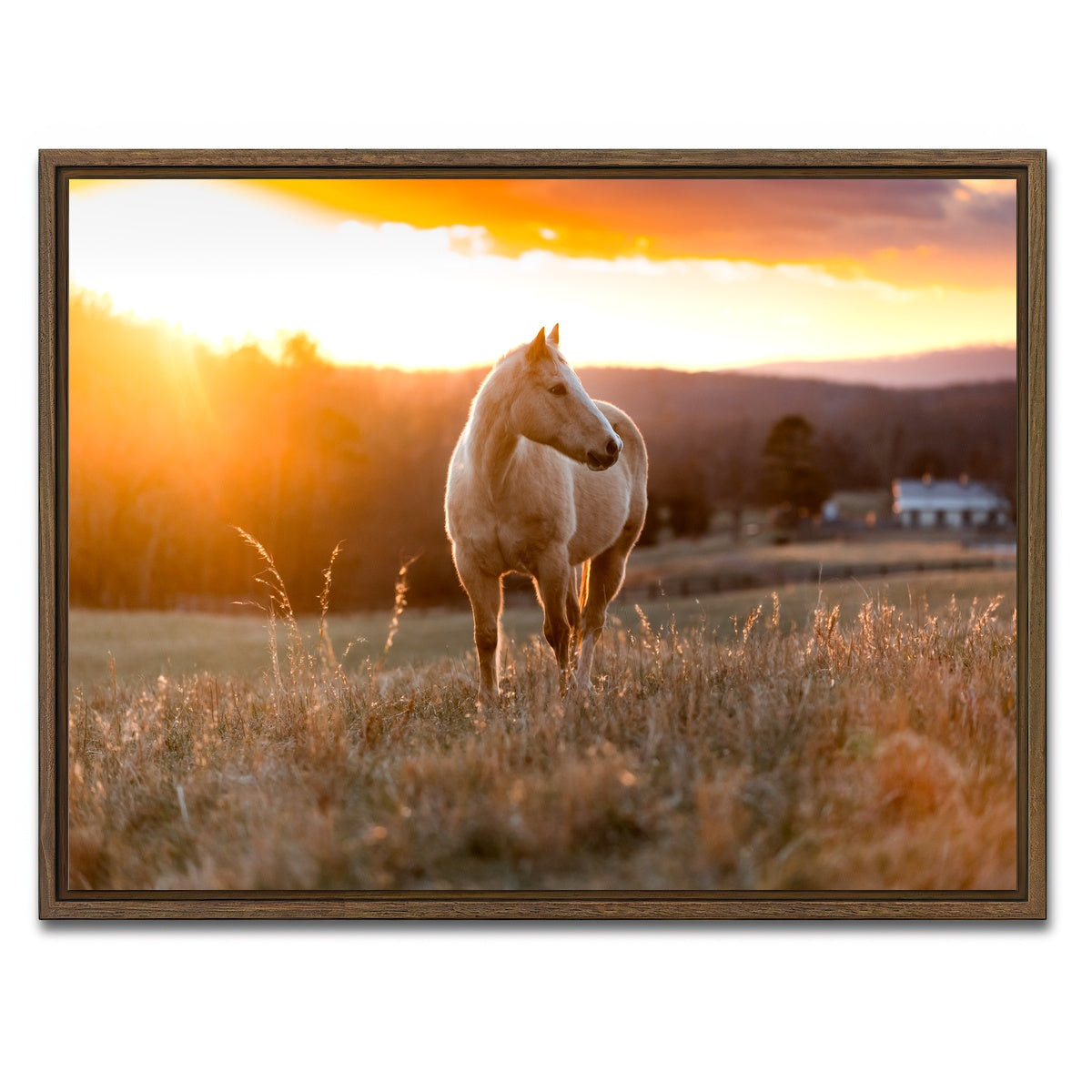 AUTO-MOCKUP WHITE | Golden Horse | 1 Piece | Walnut Framed Canvas | group=4x3