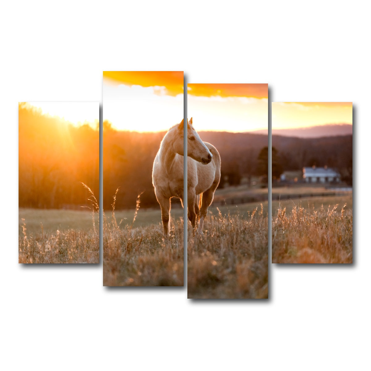 AUTO-MOCKUP WHITE | Golden Horse | 4 Piece | Gallery Wrap Canvas | group=4_short