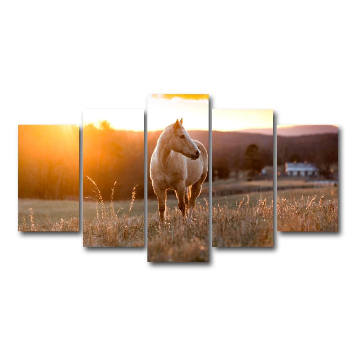 AUTO-MOCKUP WHITE | Golden Horse | 5 Piece | Gallery Wrap Canvas | group=5_normal