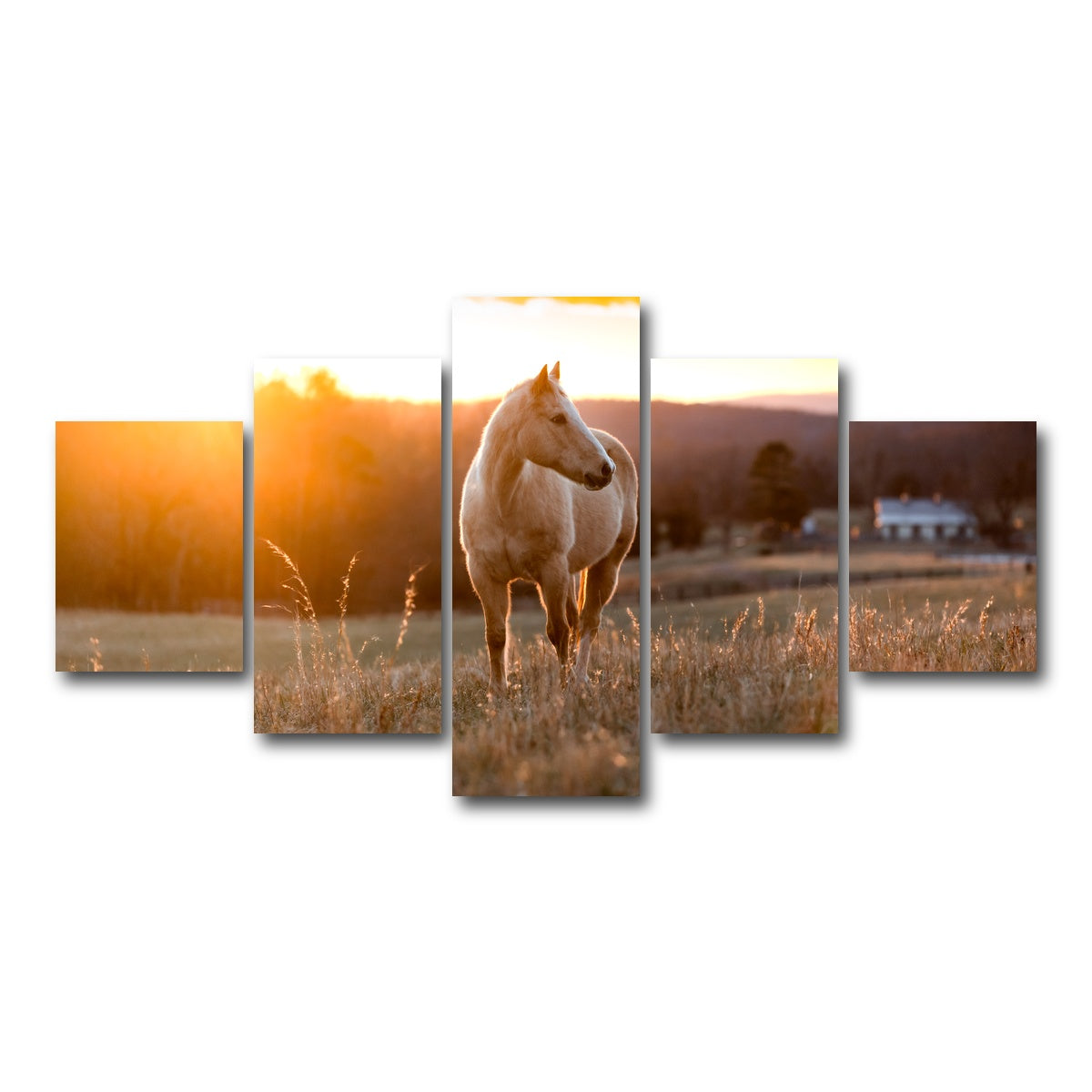 AUTO-MOCKUP WHITE | Golden Horse | 5 Piece | Gallery Wrap Canvas | group=5_short