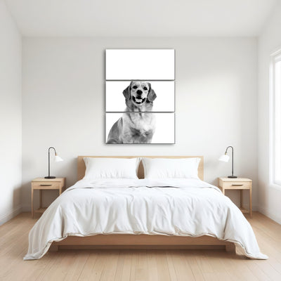 AUTO-MOCKUP ROOM | Golden Retriever