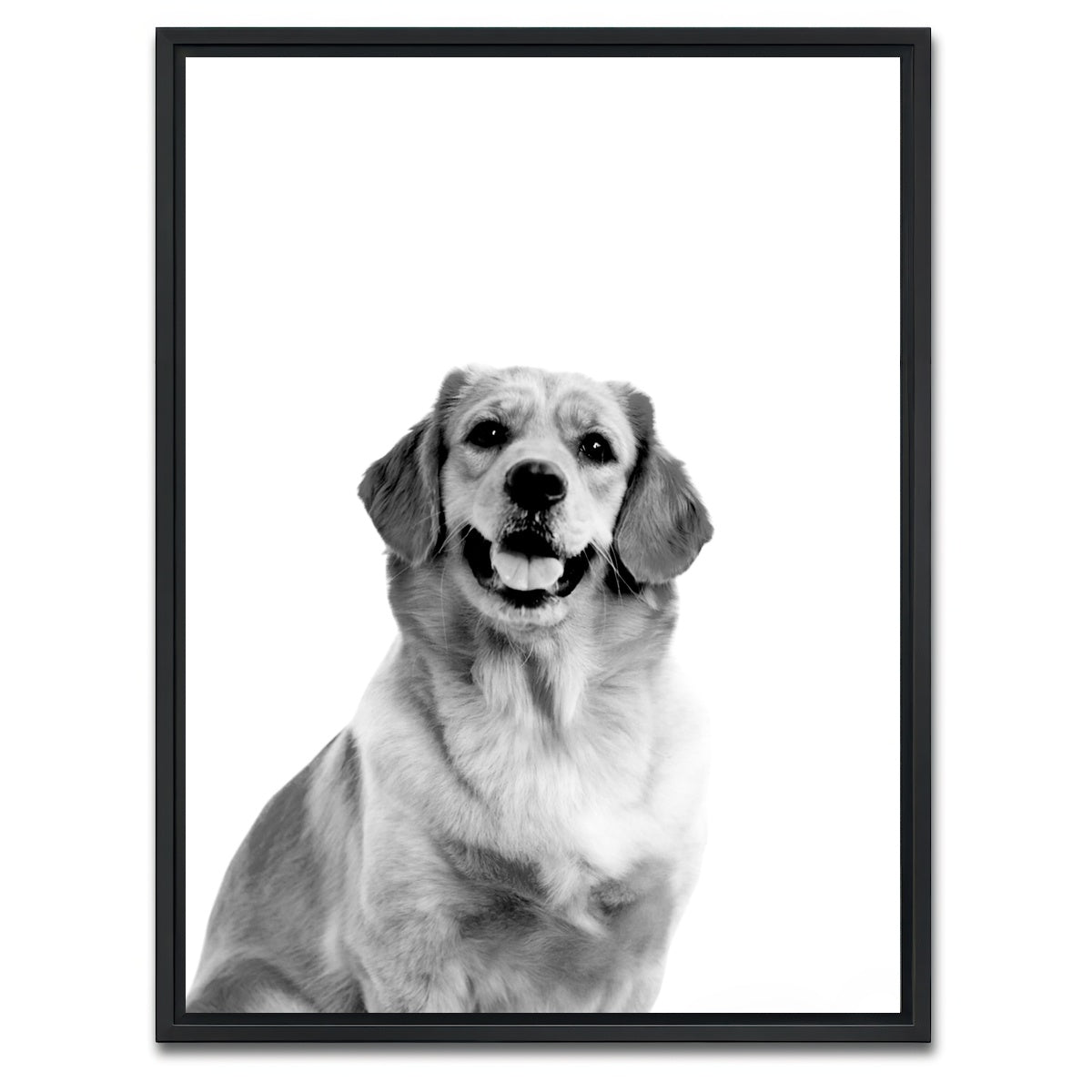 AUTO-MOCKUP WHITE | Golden Retriever | 1 Piece | Black Framed Canvas | group=3x4