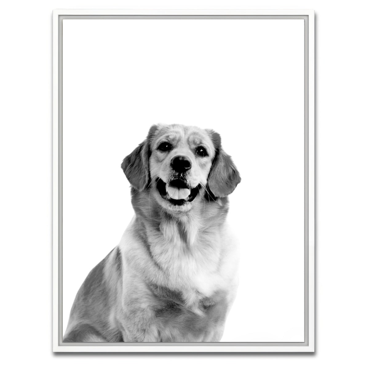 AUTO-MOCKUP WHITE | Golden Retriever | 1 Piece | White Framed Canvas | group=3x4