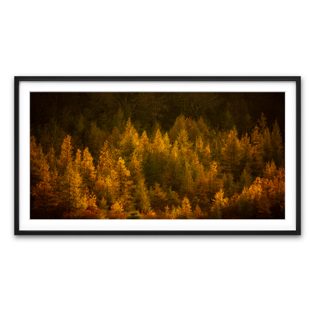 Framed Print 2x1 Black