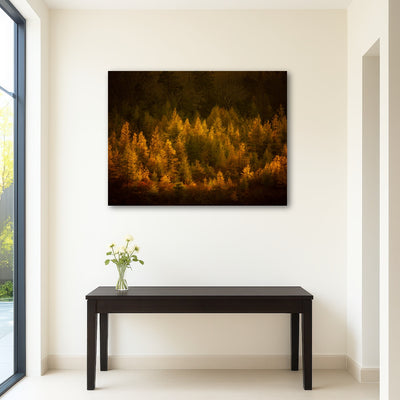 AUTO-MOCKUP ROOM | Golden Slumber