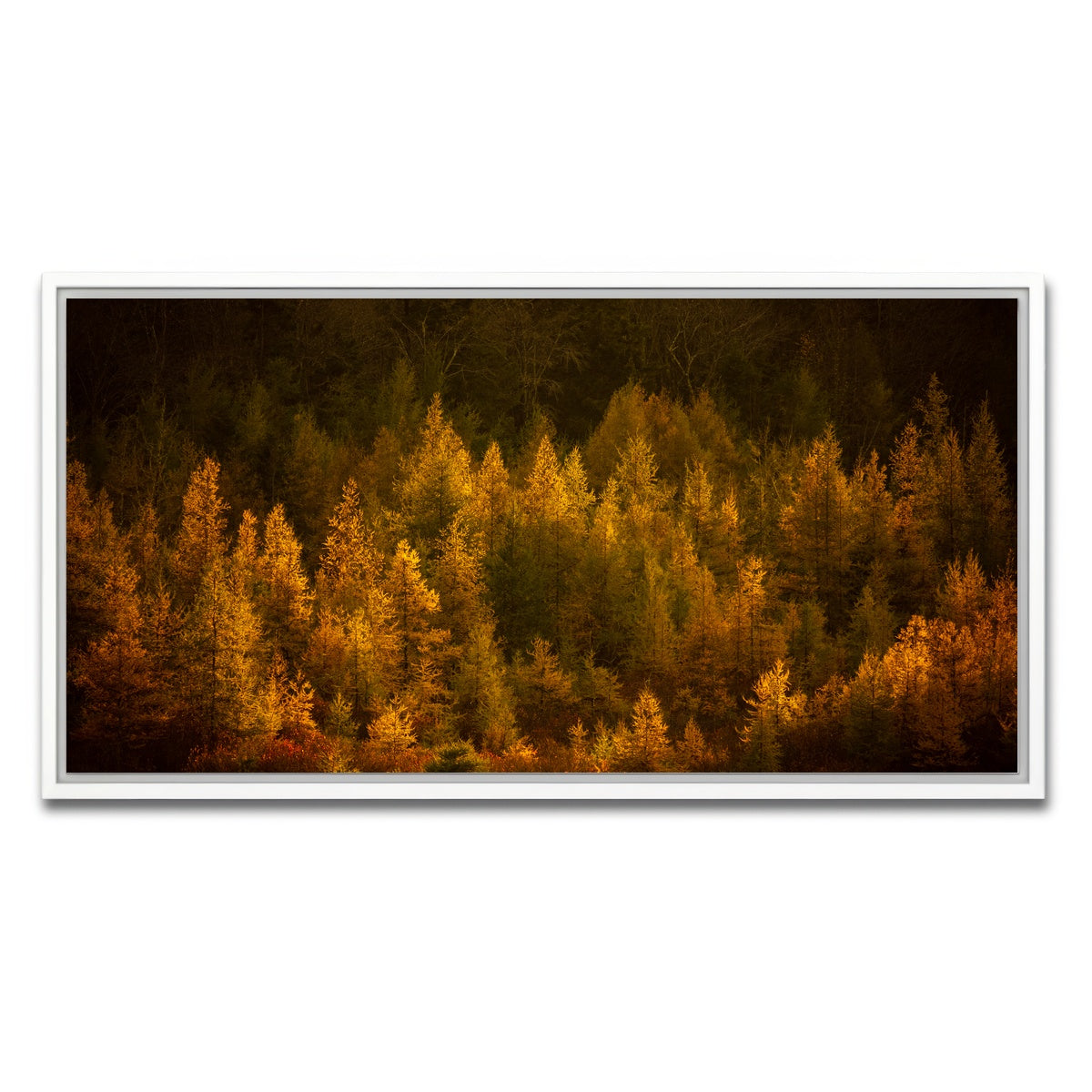 AUTO-MOCKUP WHITE | Golden Slumber | 1 Piece | White Framed Canvas | group=2x1