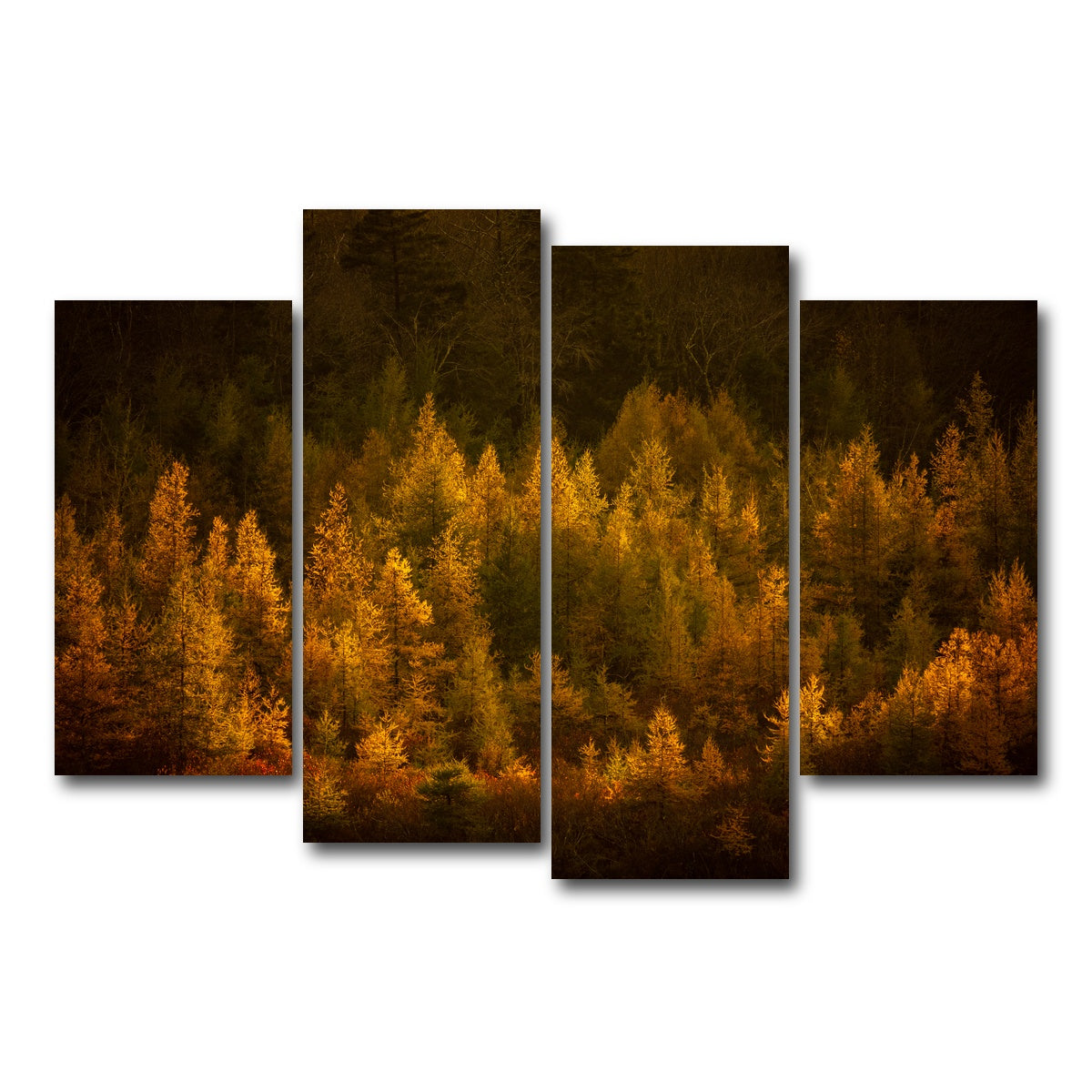 AUTO-MOCKUP WHITE | Golden Slumber | 4 Piece | Gallery Wrap Canvas | group=4_short