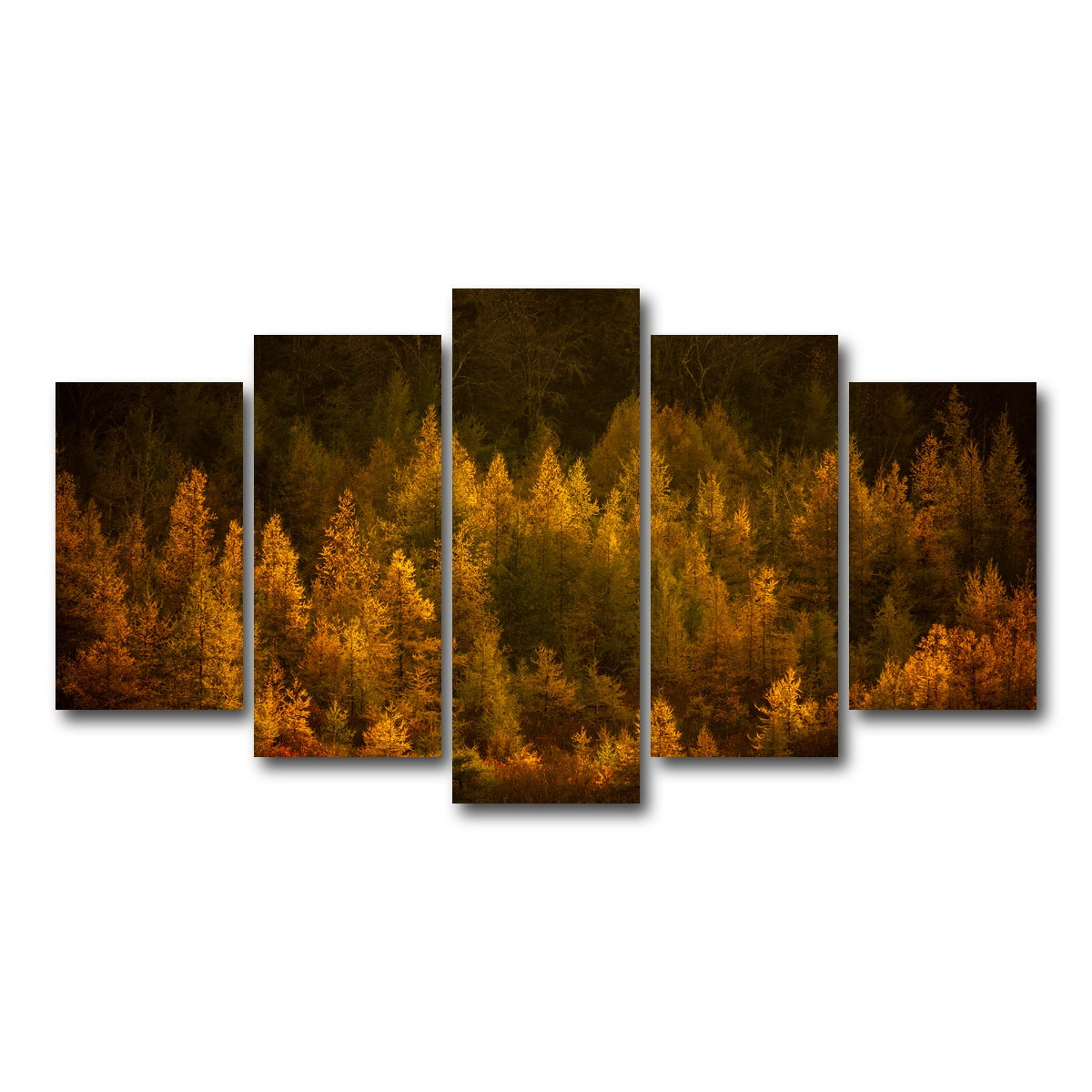 AUTO-MOCKUP WHITE | Golden Slumber | 5 Piece | Gallery Wrap Canvas | group=5_normal