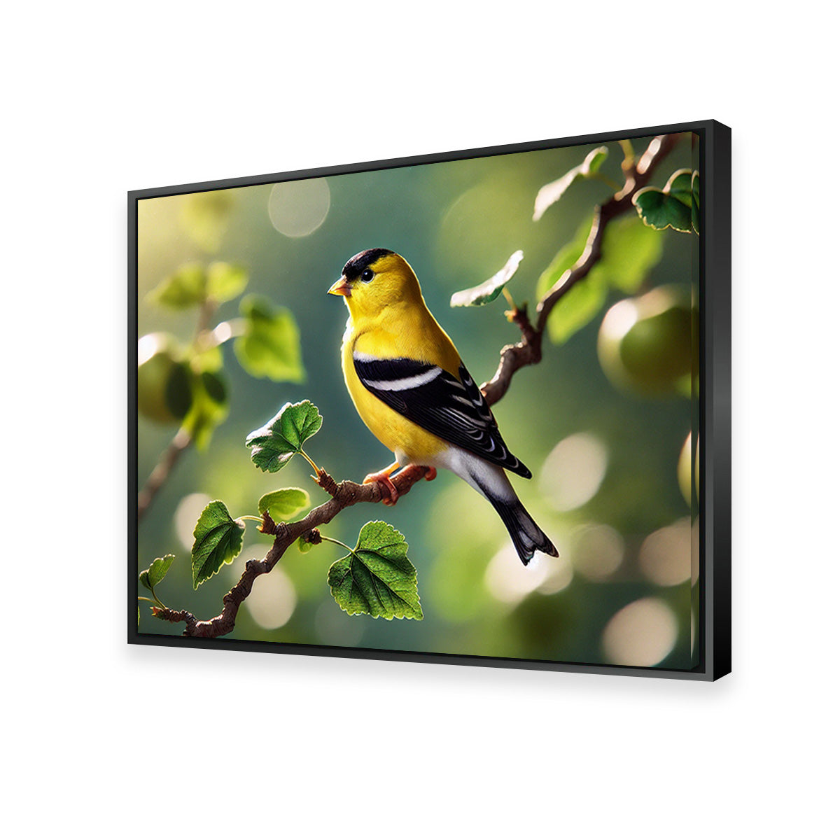 Goldfinch Wall Art