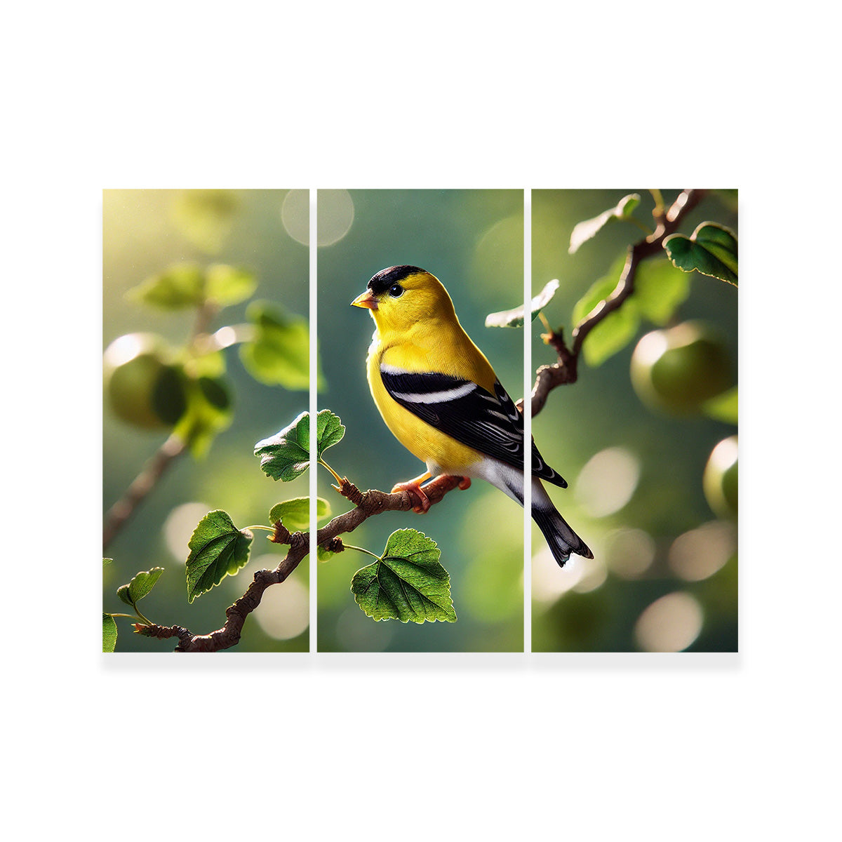 Goldfinch Wall Art