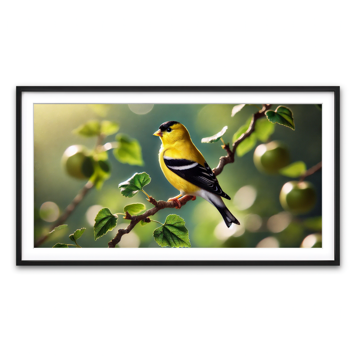 Framed Print 2x1 Black