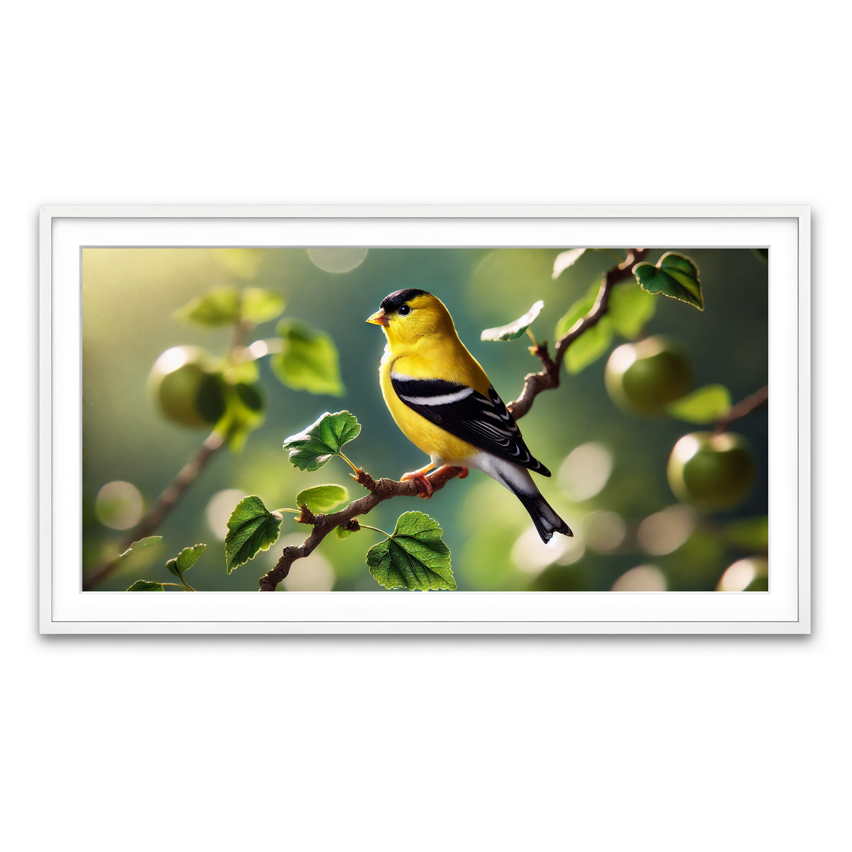 Framed Print 2x1 White