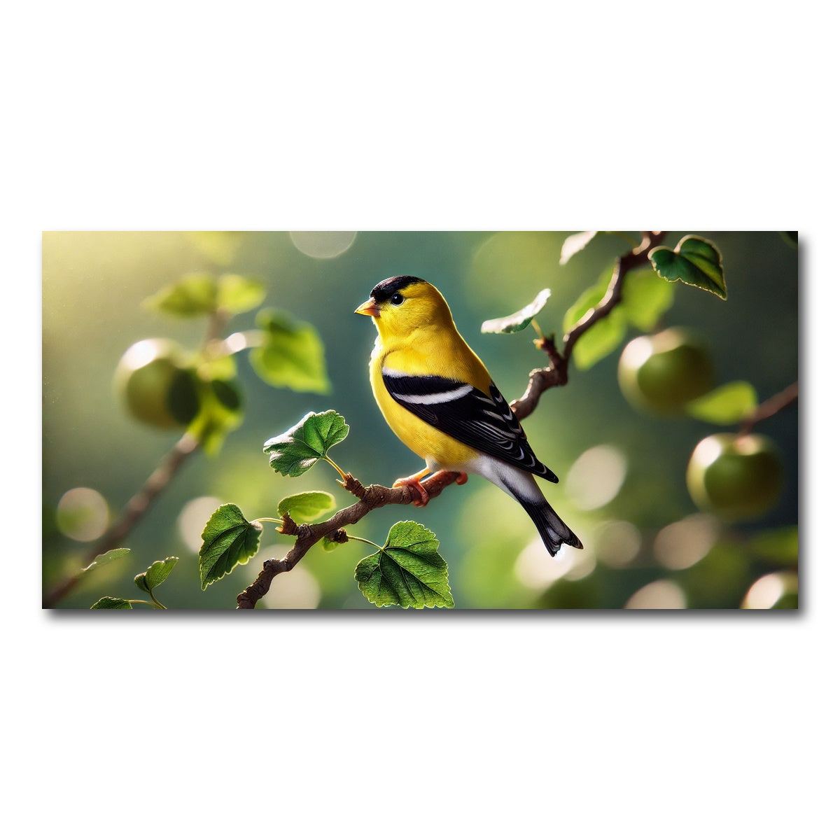 AUTO-MOCKUP WHITE | Goldfinch | 1 Piece | Gallery Wrap Canvas | group=2x1