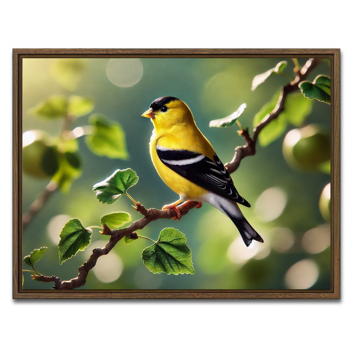 AUTO-MOCKUP WHITE | Goldfinch | 1 Piece | Walnut Framed Canvas | group=4x3