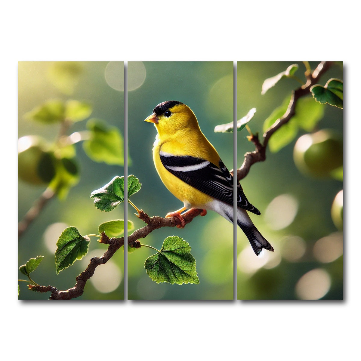 AUTO-MOCKUP WHITE | Goldfinch | 3 Piece | Gallery Wrap Canvas | group=8x18