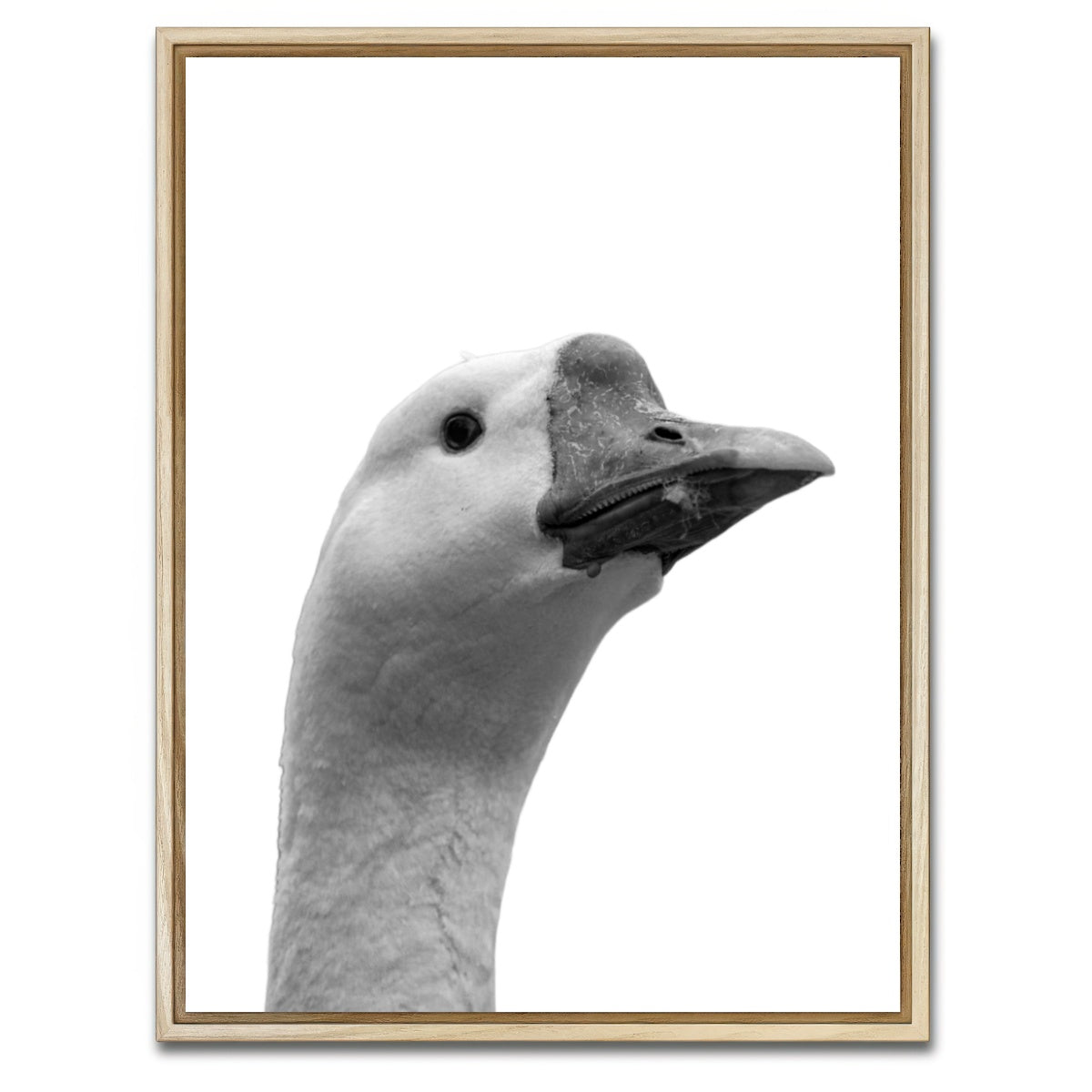 AUTO-MOCKUP WHITE | Goose Head | 1 Piece | Natural Framed Canvas | group=3x4