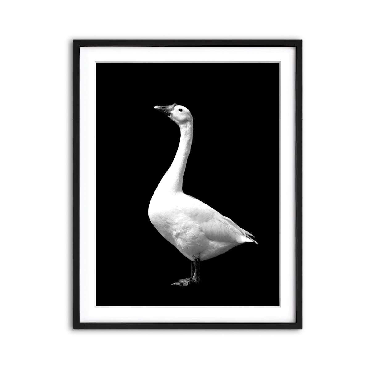 Framed Print 3x4 Black