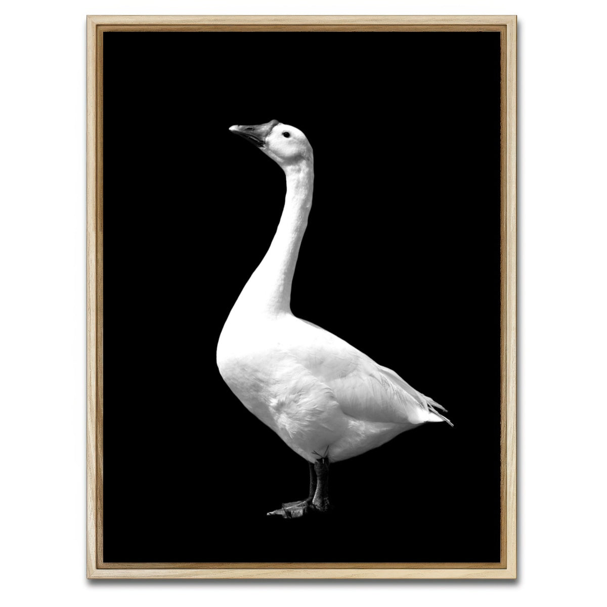 AUTO-MOCKUP WHITE | Goose | 1 Piece | Natural Framed Canvas | group=3x4