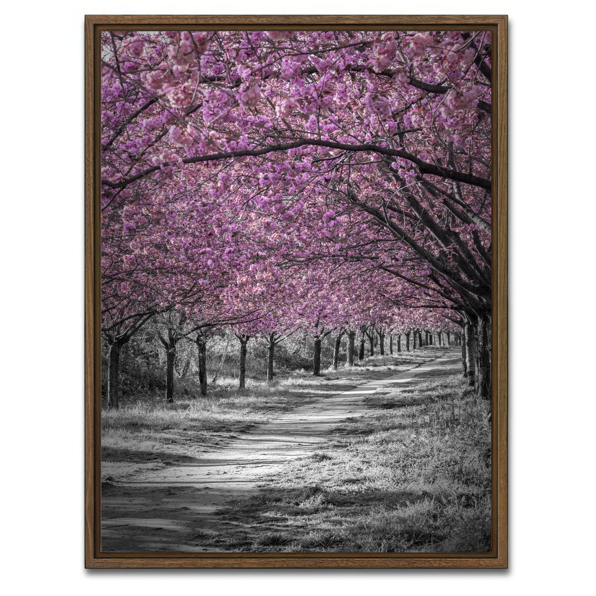 AUTO-MOCKUP WHITE | Gorgeous cherry blossom alley in pink | 1 Piece | Walnut Framed Canvas | group=3x4