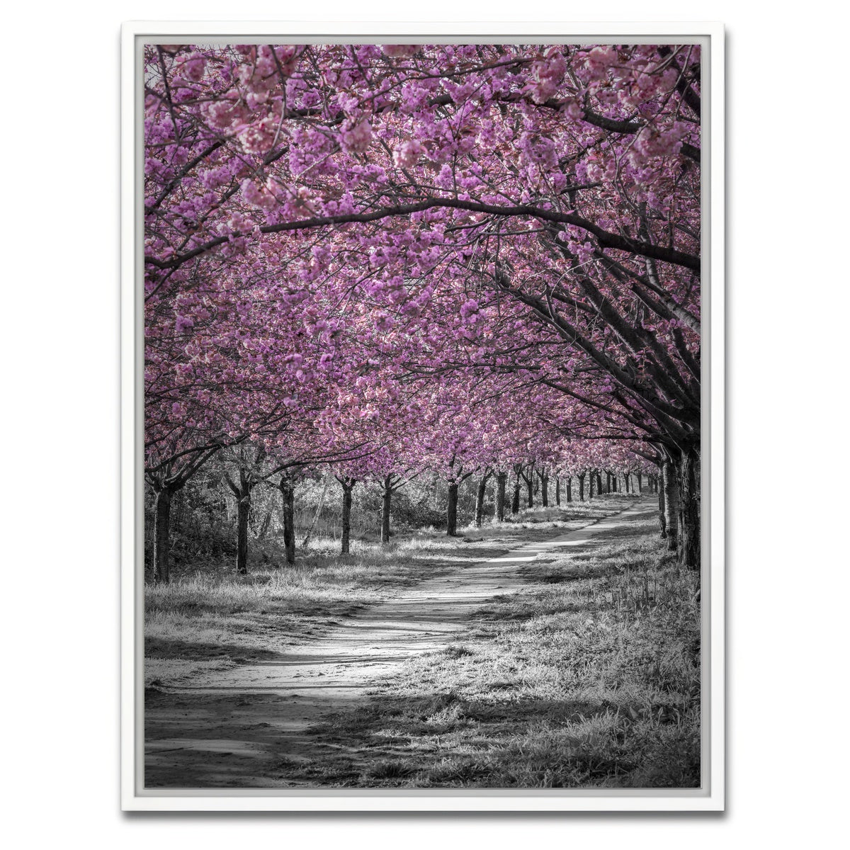 AUTO-MOCKUP WHITE | Gorgeous cherry blossom alley in pink | 1 Piece | White Framed Canvas | group=3x4