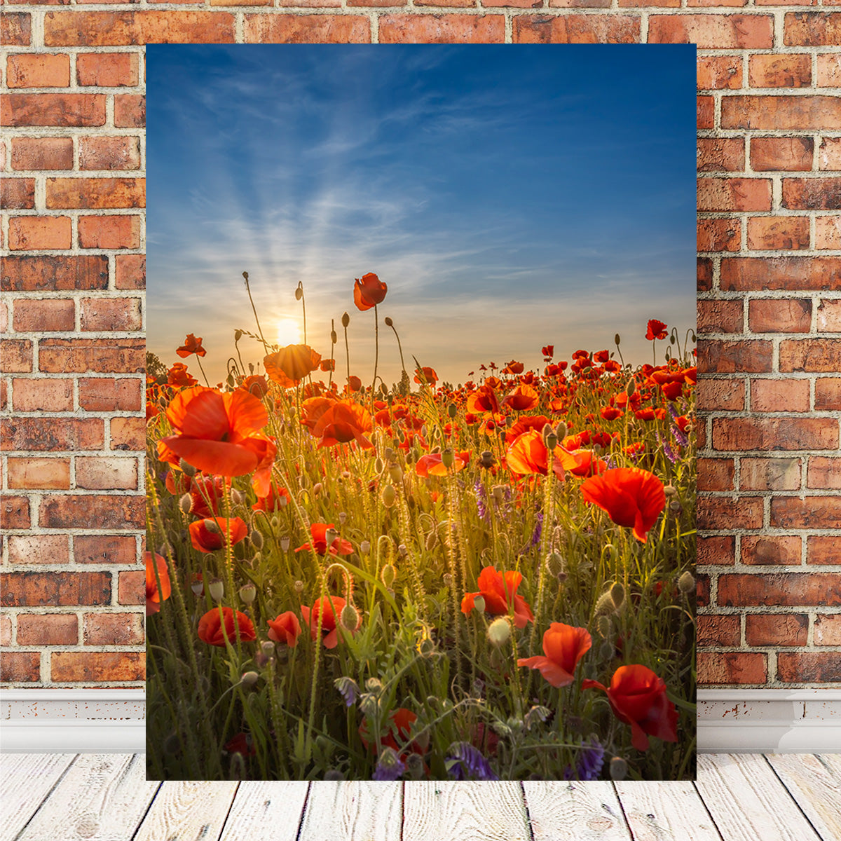 Gorgeous Sunset in a Poppy Field Wall Art