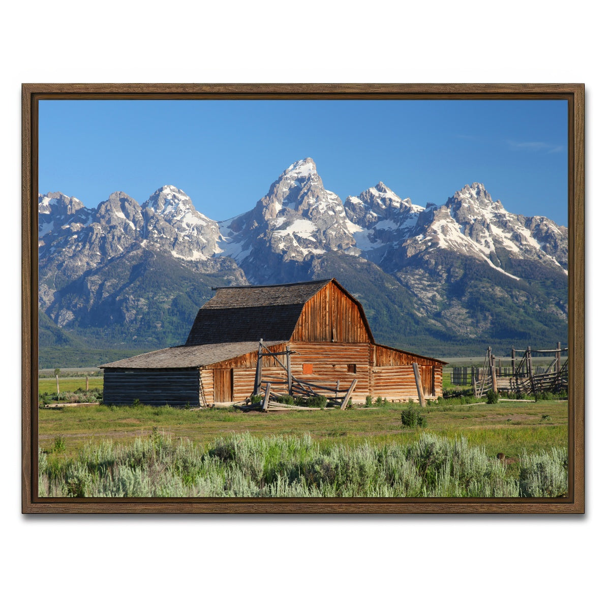 AUTO-MOCKUP WHITE | Grand Tetons and old barn | 1 Piece | Walnut Framed Canvas | group=4x3