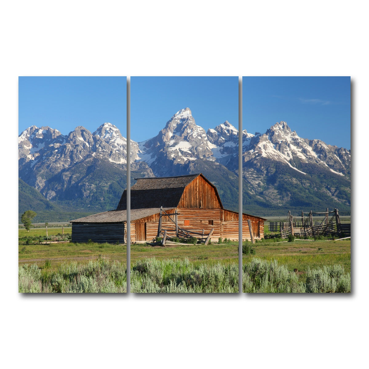 AUTO-MOCKUP WHITE | Grand Tetons and old barn | 3 Piece | Gallery Wrap Canvas | group=12x24