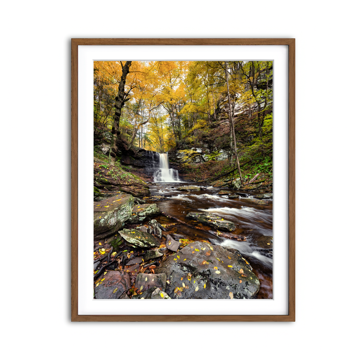 Framed Print 3x4 Walnut