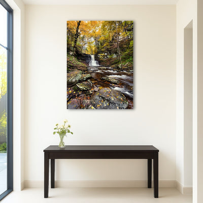 AUTO-MOCKUP ROOM | Grand Vista