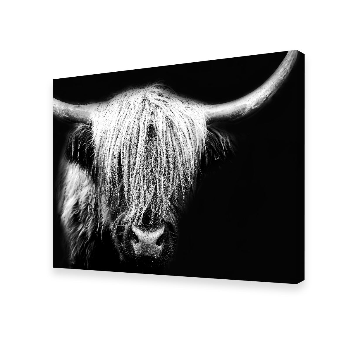 Grayscale Highland Cow Wall Art