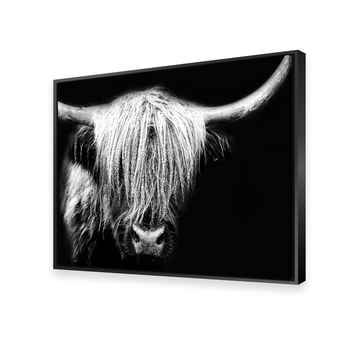 Grayscale Highland Cow Wall Art