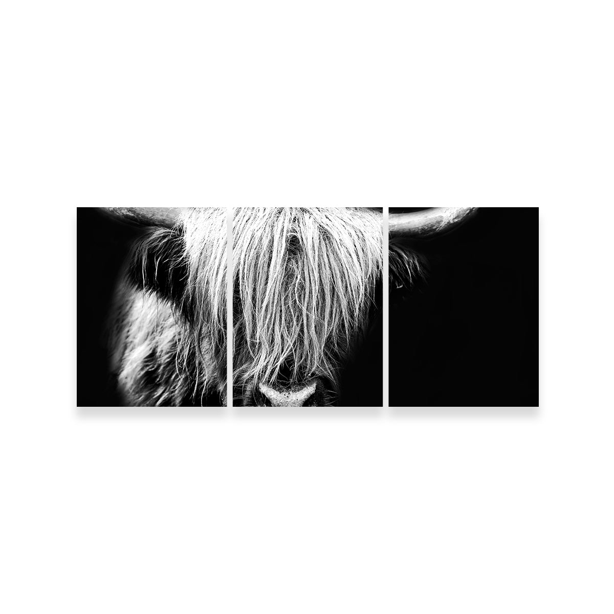 Grayscale Highland Cow Wall Art