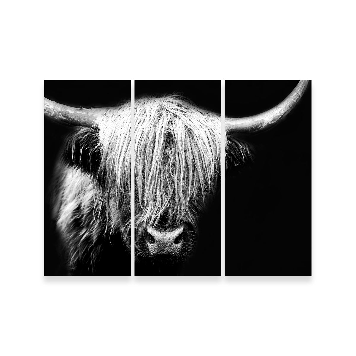 Grayscale Highland Cow Wall Art