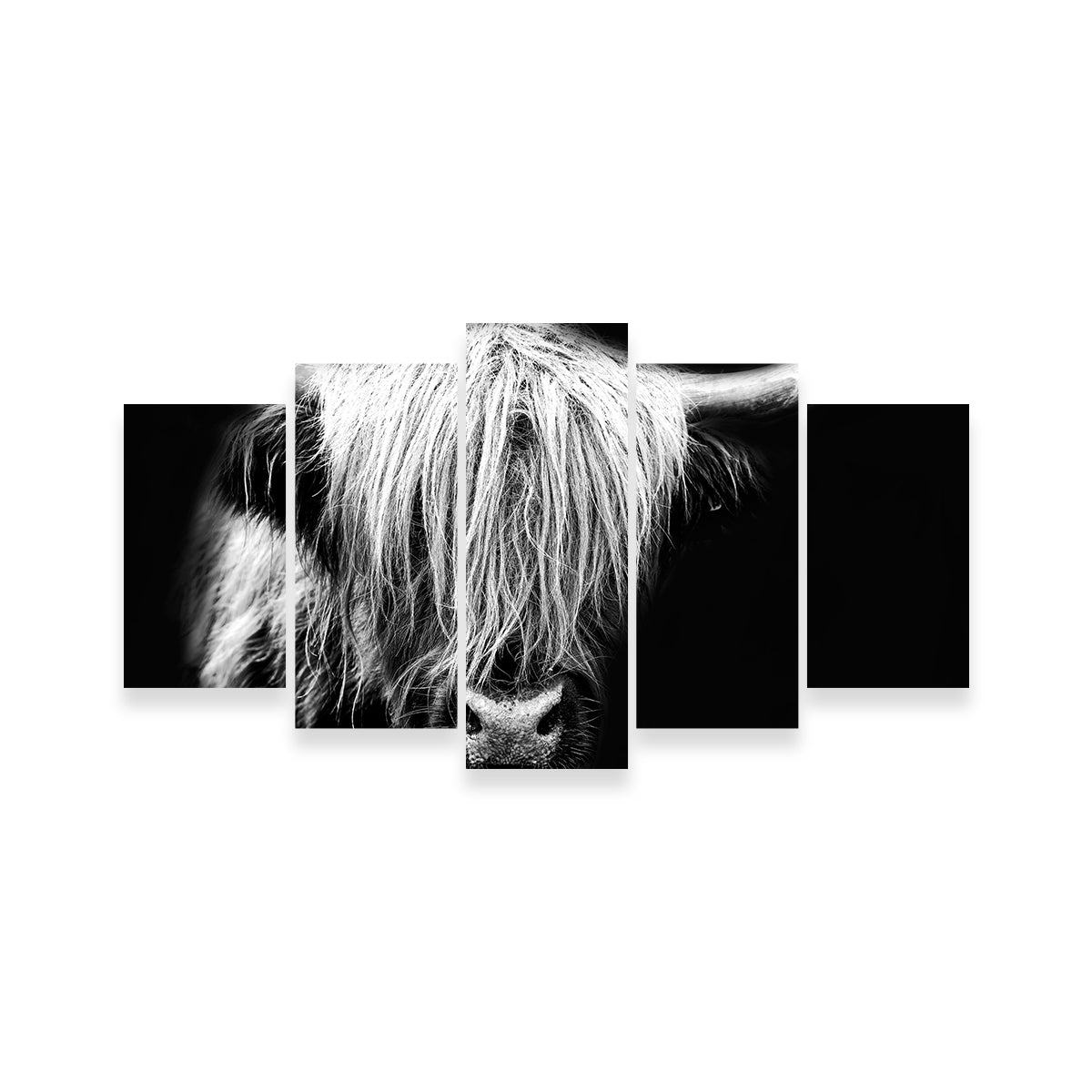 Grayscale Highland Cow Wall Art