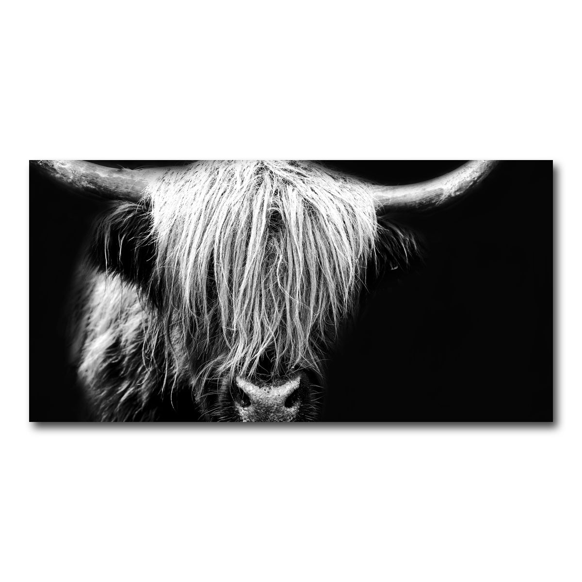 AUTO-MOCKUP WHITE | Grayscale Highland Cow | 1 Piece | Gallery Wrap Canvas | group=2x1