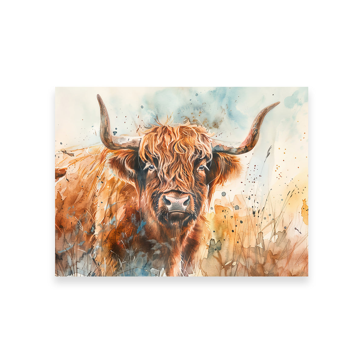 Grazing Highland Bull Wall Art