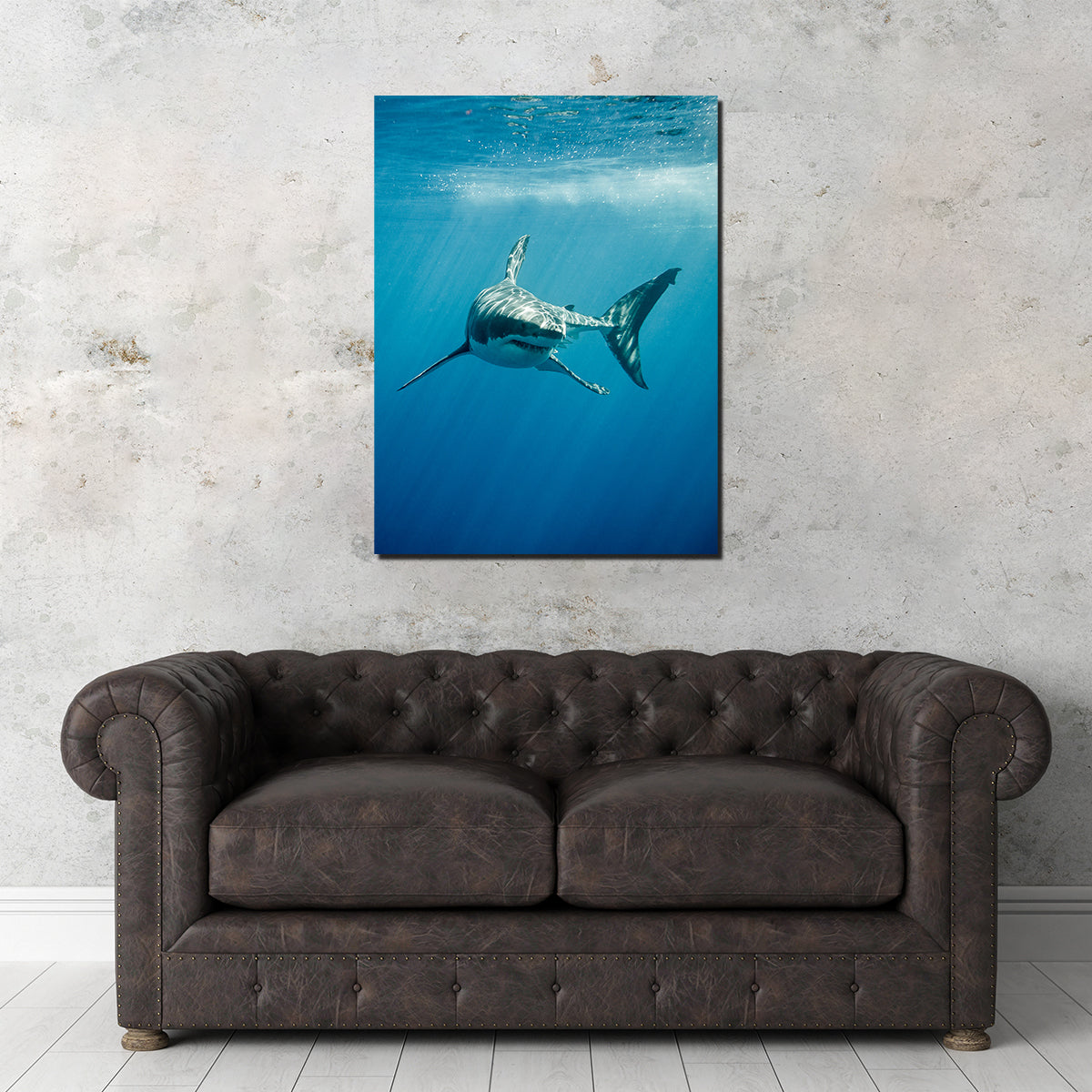 Great White Shark Swimming Wall Art