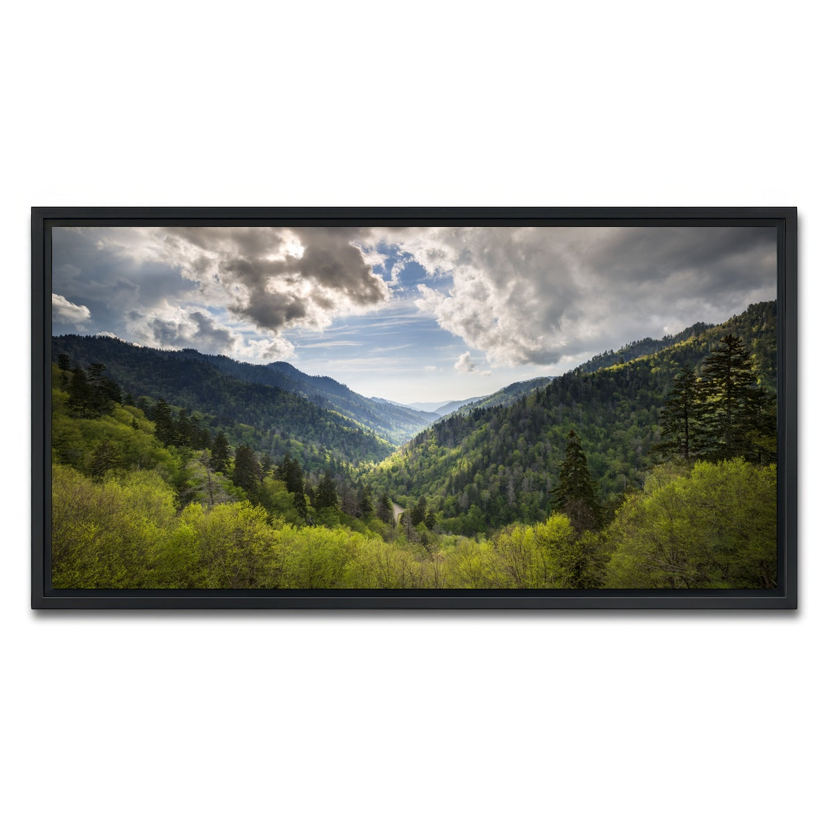 AUTO-MOCKUP WHITE | Great Smoky Mountains National Park | 1 Piece | Black Framed Canvas | group=2x1