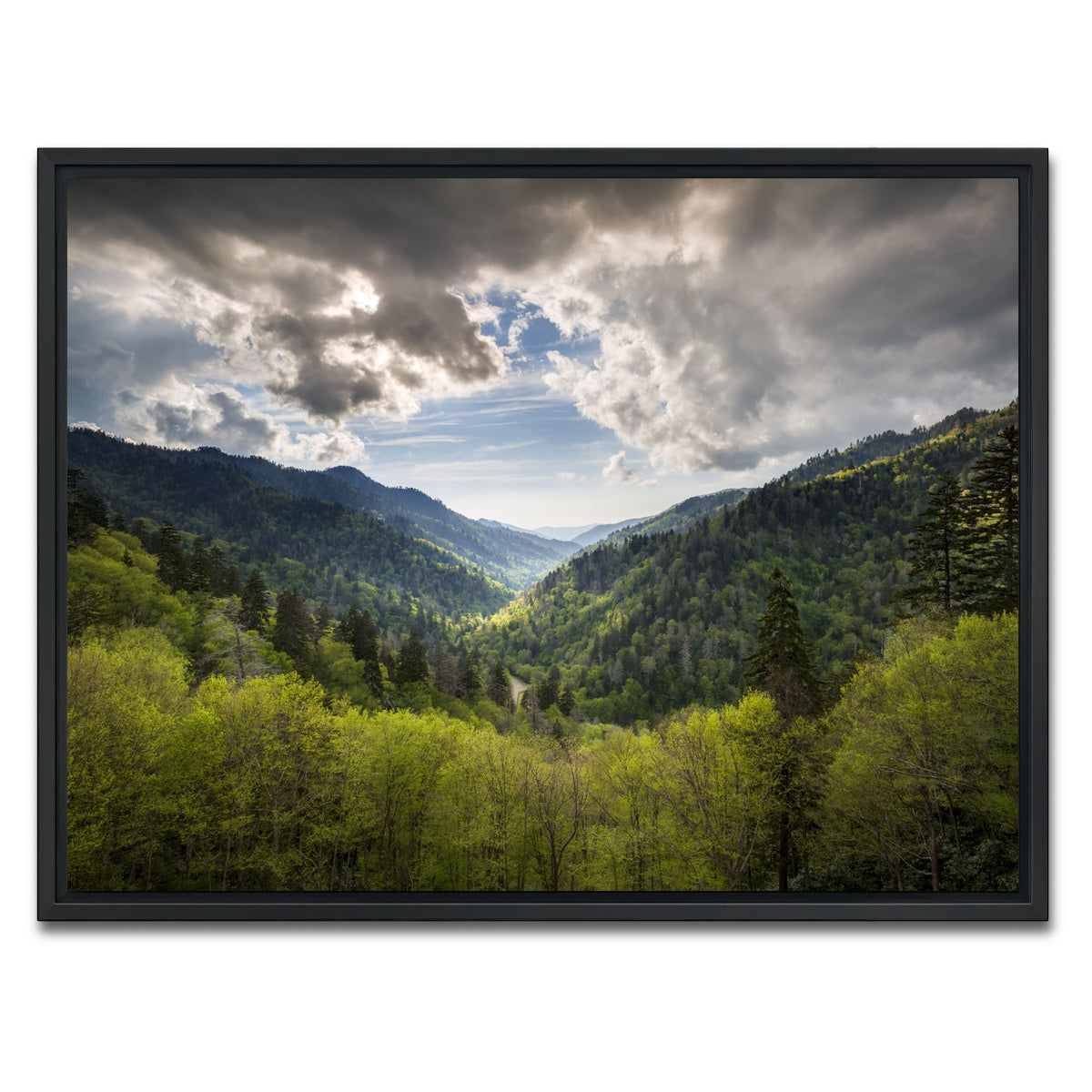 AUTO-MOCKUP WHITE | Great Smoky Mountains National Park | 1 Piece | Black Framed Canvas | group=4x3