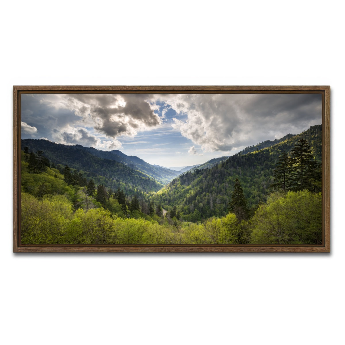 AUTO-MOCKUP WHITE | Great Smoky Mountains National Park | 1 Piece | Walnut Framed Canvas | group=2x1