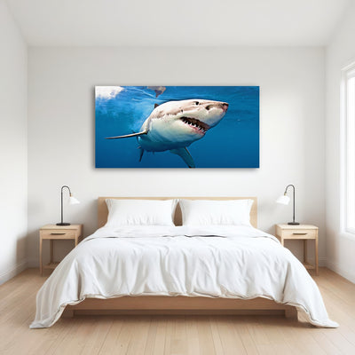 AUTO-MOCKUP ROOM | Great White Shark