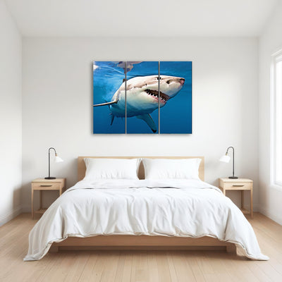 AUTO-MOCKUP ROOM | Great White Shark